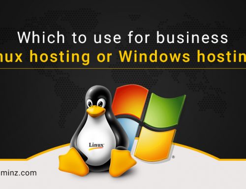 Which to use for business Linux hosting or Windows hosting?