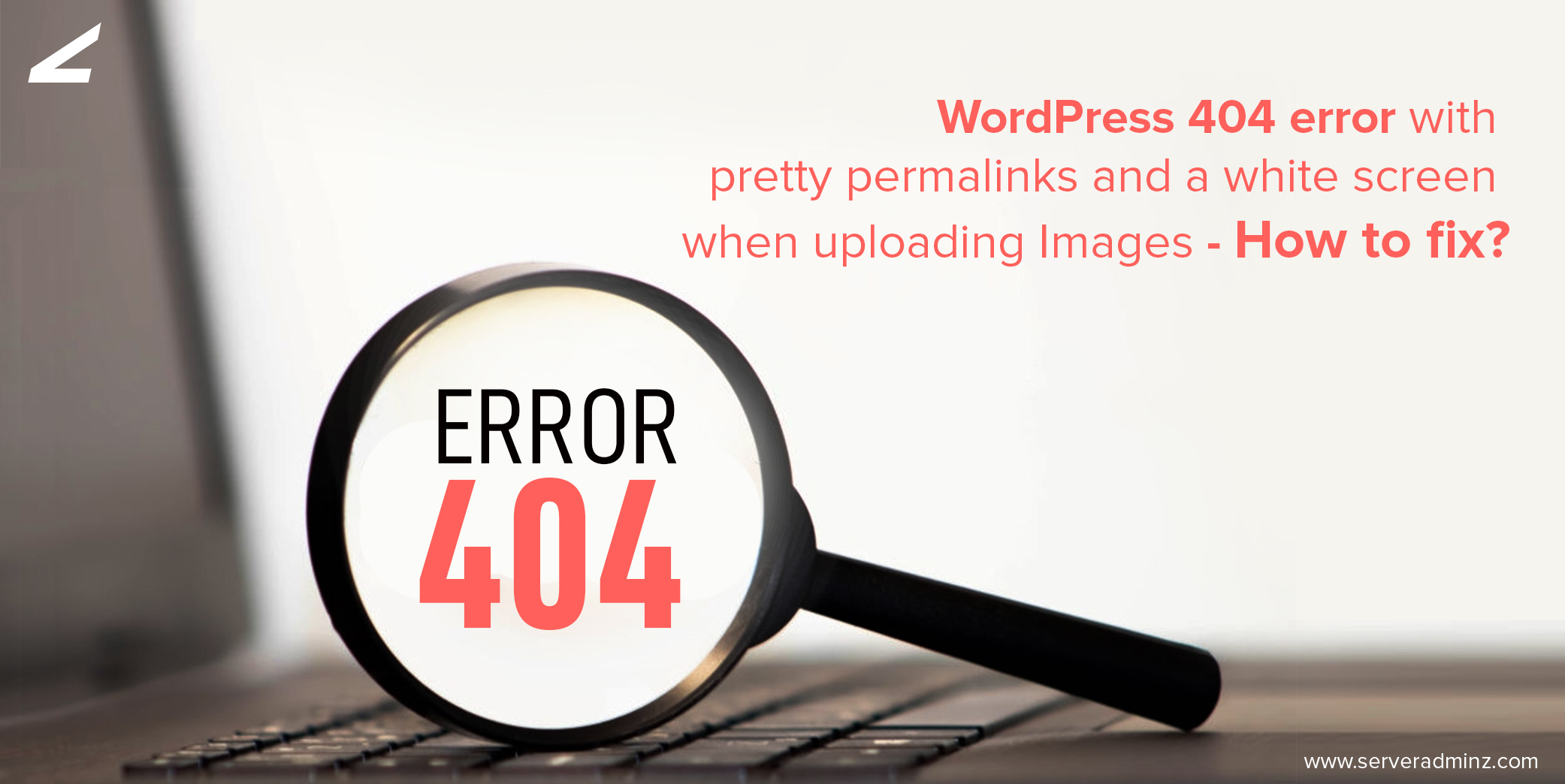 WordPress 404 Error