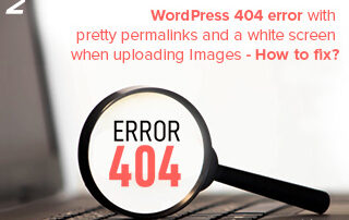 WordPress 404 Error