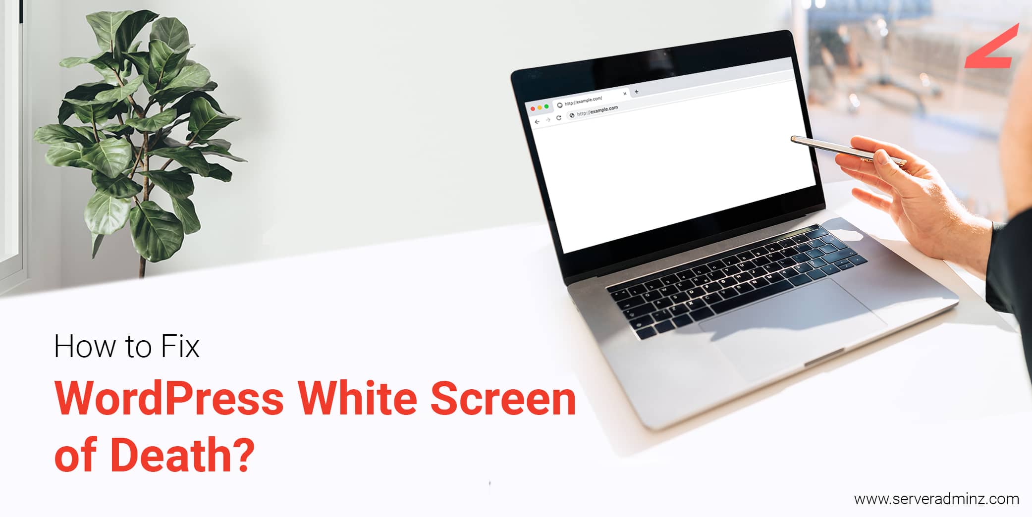 WordPress White Screen of Death WordPress White Screen of Death