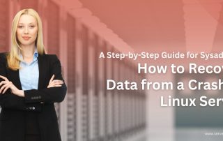 Recover Data from a Crashed Linux Server