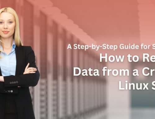 How to Recover Data from a Crashed Linux Server: A Step-by-Step Guide for Sysadmins