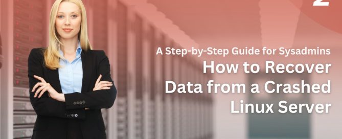 Recover Data from a Crashed Linux Server
