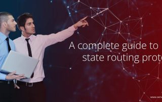 Efficient Link-State Routing Protocols for Scalable Networks
