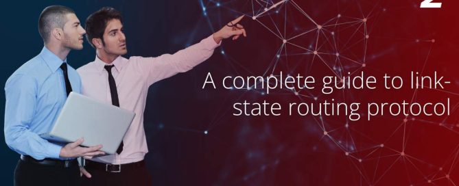 Efficient Link-State Routing Protocols for Scalable Networks