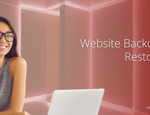 Website Backup and Restoration