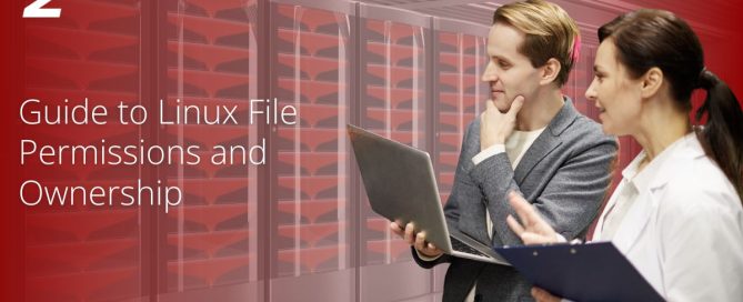 IT professionals discussing Linux file permissions and ownership
