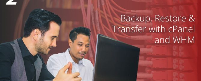 “Backup, Restore & Transfer with cPanel and WHM – two IT professionals working on a laptop with network cables in the background.”
