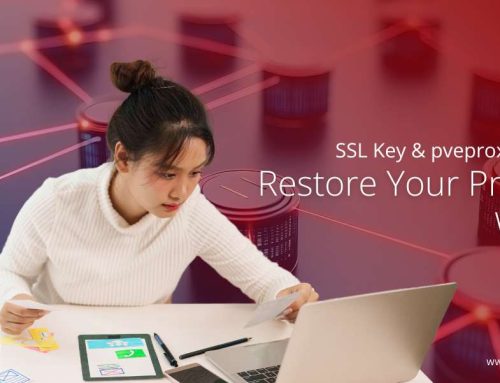 Proxmox Panel Inaccessible After Installation