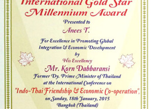 gold star millenium award